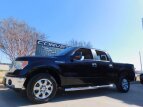 Thumbnail Photo 3 for 2013 Ford F150